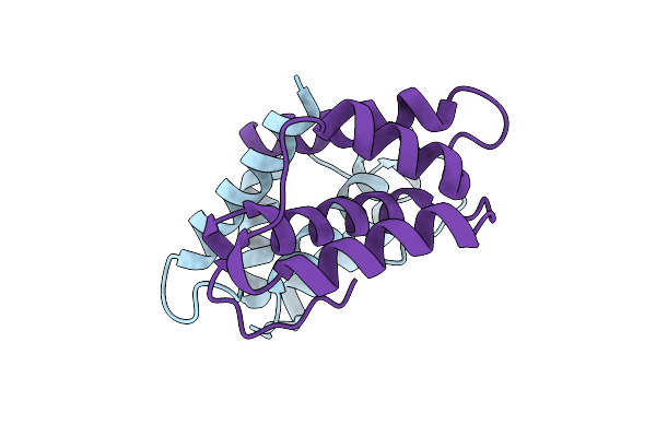 3NSI image