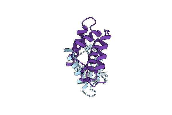 3NSK image