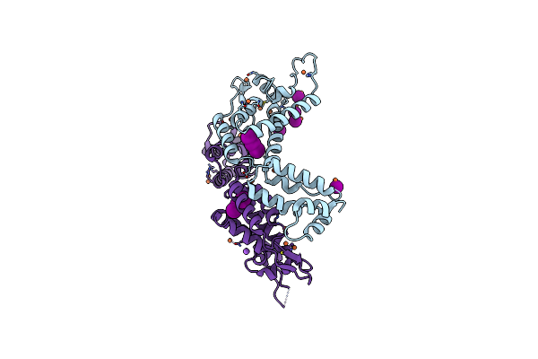 3NTE image