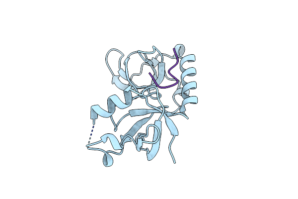 3NTI image