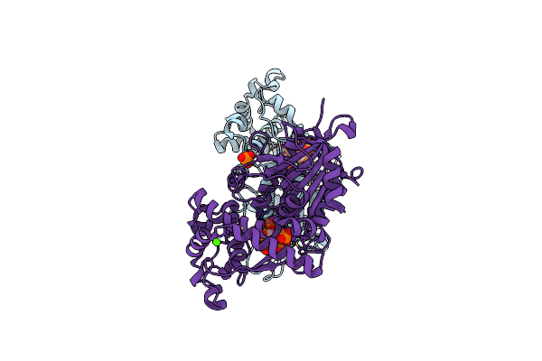 3NTL image