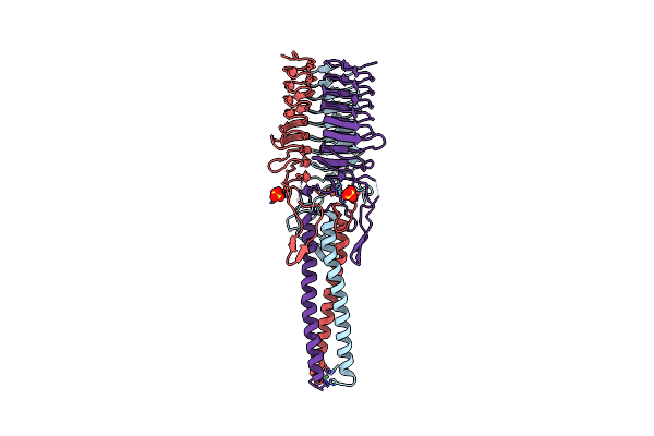3NTN image