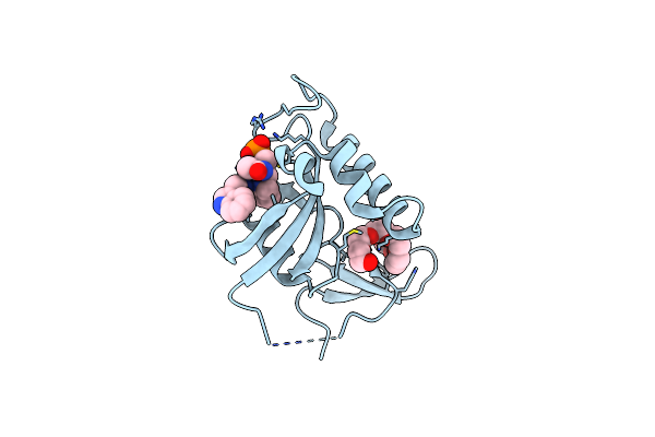 3NTP image