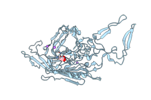 3NTT image