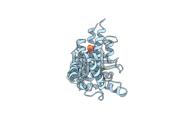 3NTU image