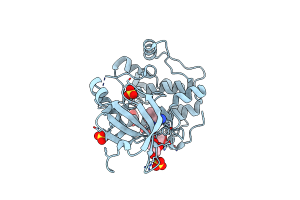 3NUS image