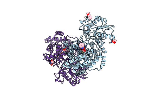 3NVD image