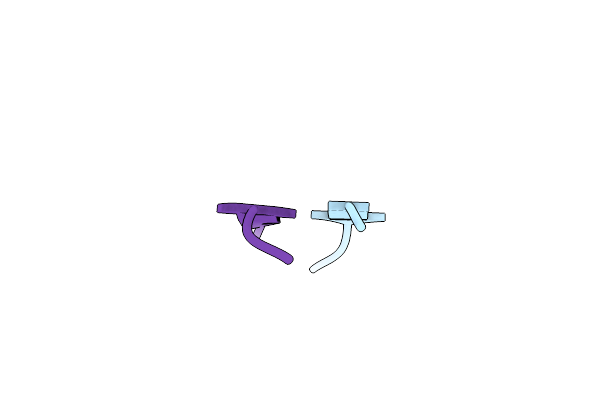 3NVE image