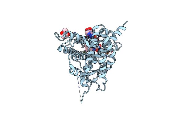 3NVJ image