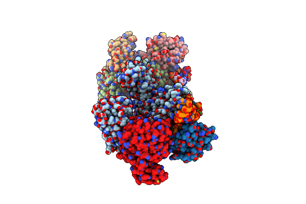 3NVK image