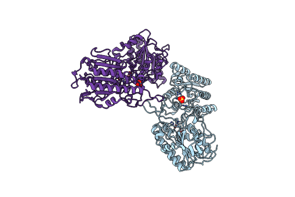 3NVL image