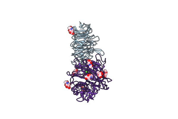 3NVN image