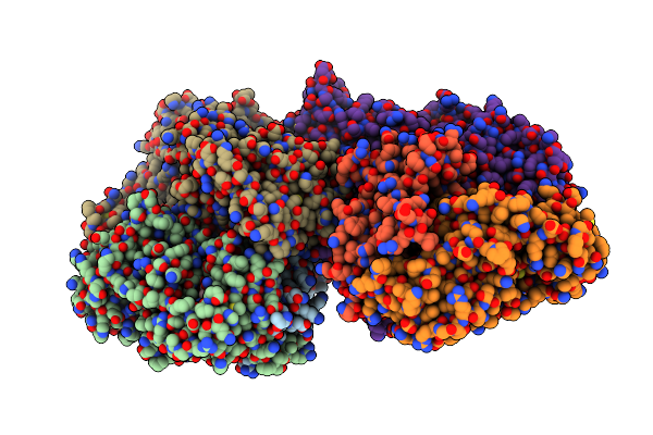 3NVV image