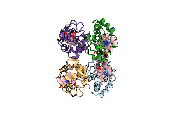 3NWV image