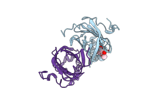 3NX2 image