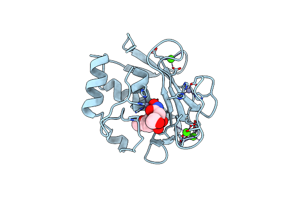 3NX7 image