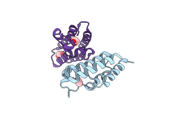 3NXB image