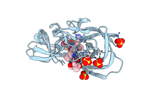 3NXE image
