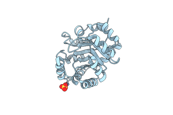 3NXF image
