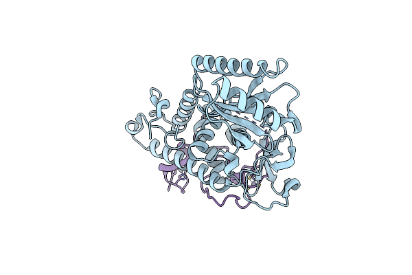 3NYB image