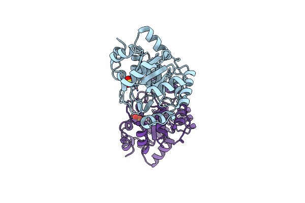 3NYZ image