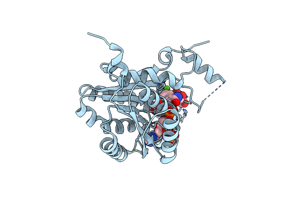 3O03 image