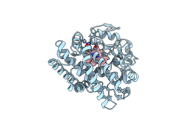 3O1A image
