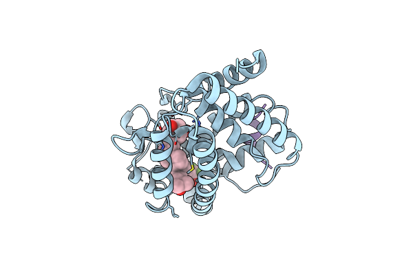 3O1E image