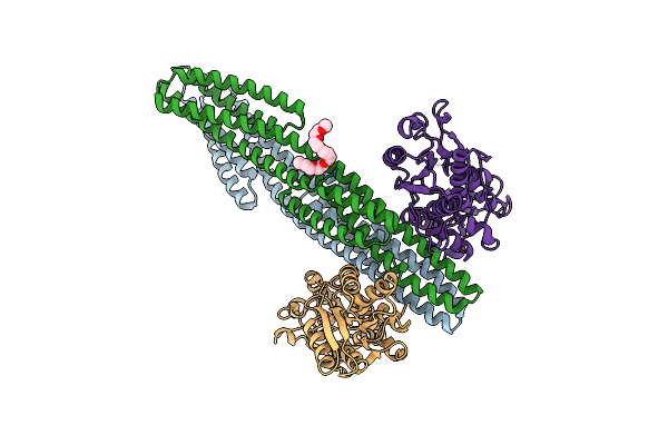 3O1I image