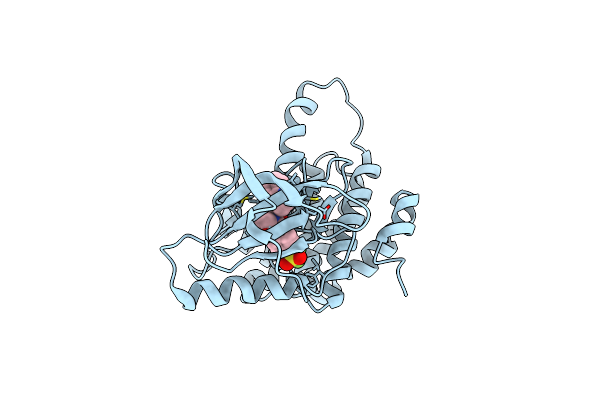 3O23 image