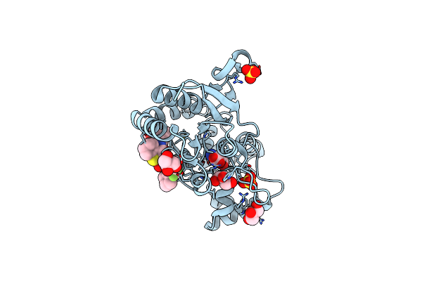 3O29 image