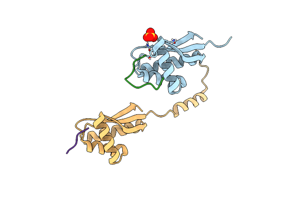 3O2B image