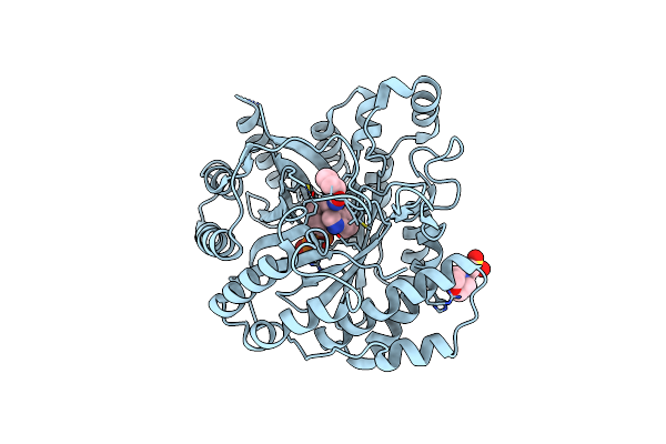 3O2K image