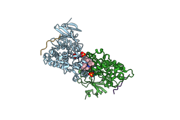 3O2M image
