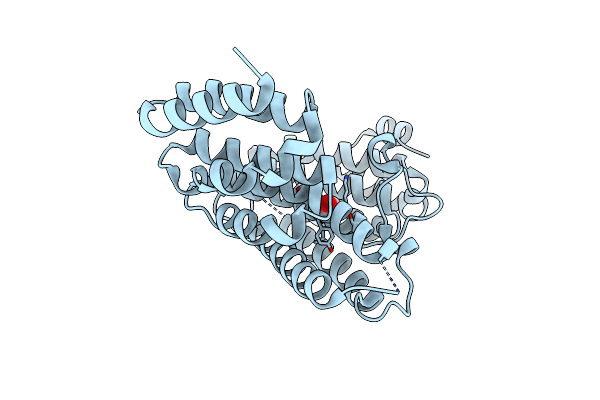 3O2T image