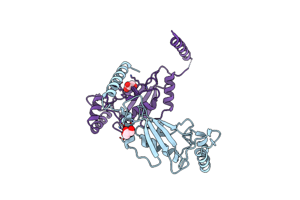 3O2U image