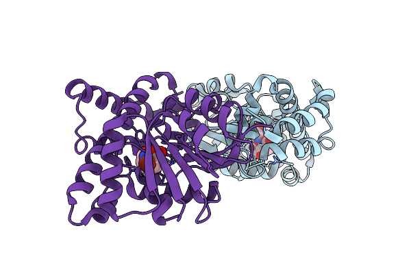 3O31 image
