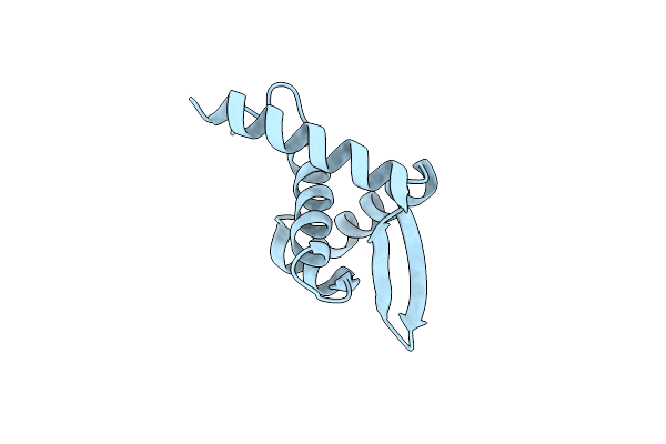 3O3K image