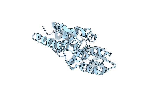 3O3T image