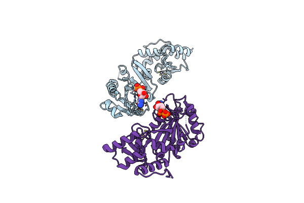 3O47 image