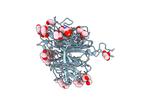 3O4P image