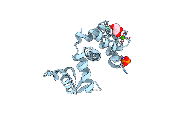 3O4Y image