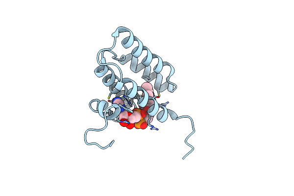 3O55 image