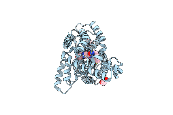 3O56 image
