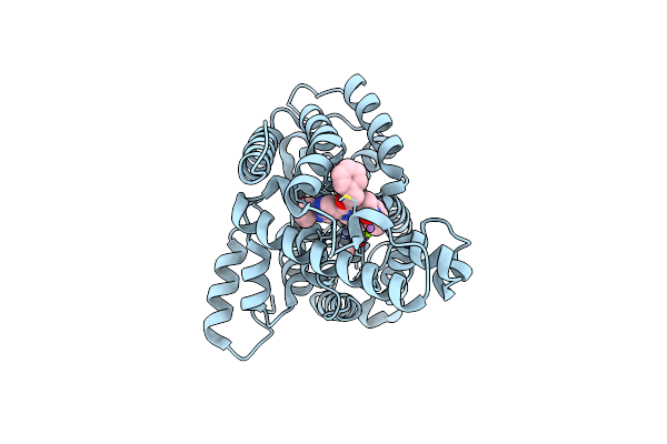 3O57 image