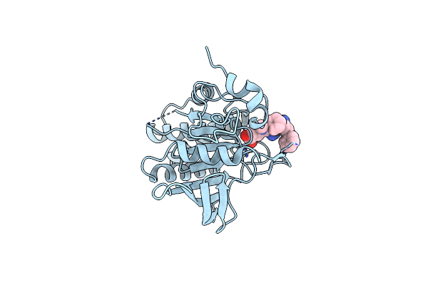 3O5X image