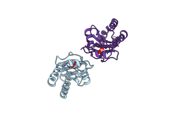 3O5Y image