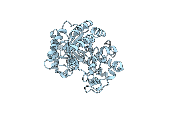 3O6A image