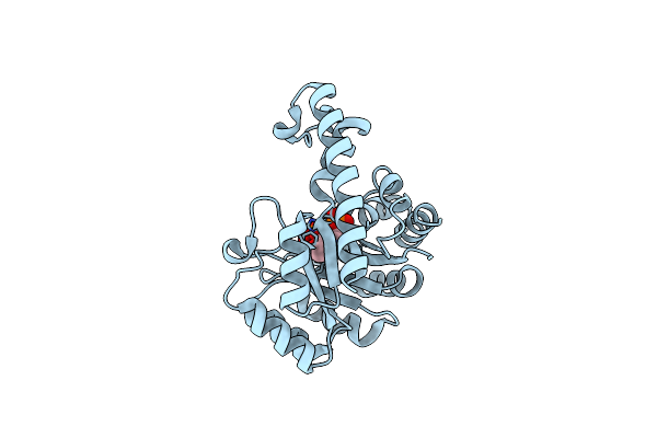 3O6D image