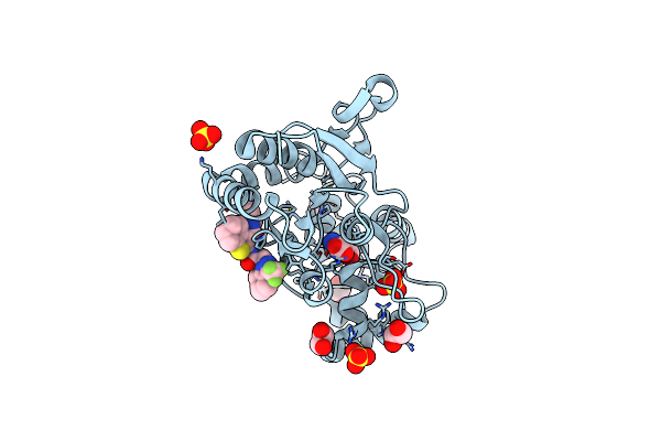 3O6G image